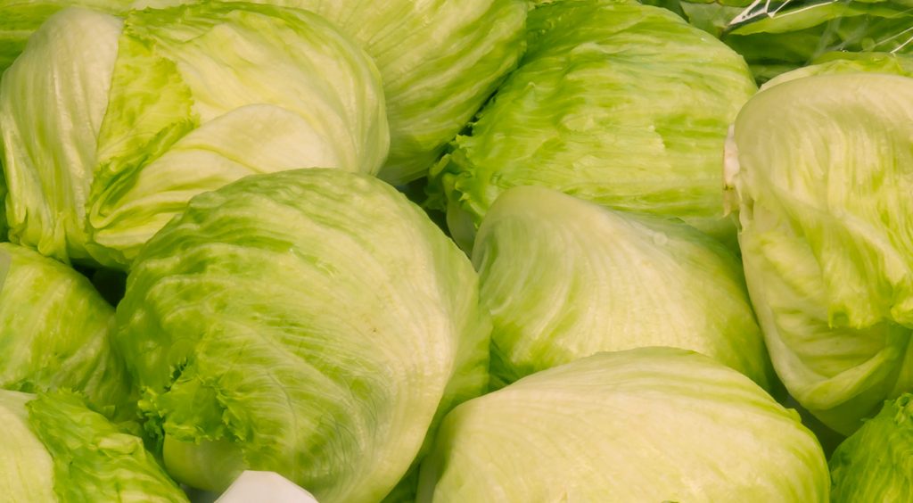 Iceberg Lettuce Three Counties Produce